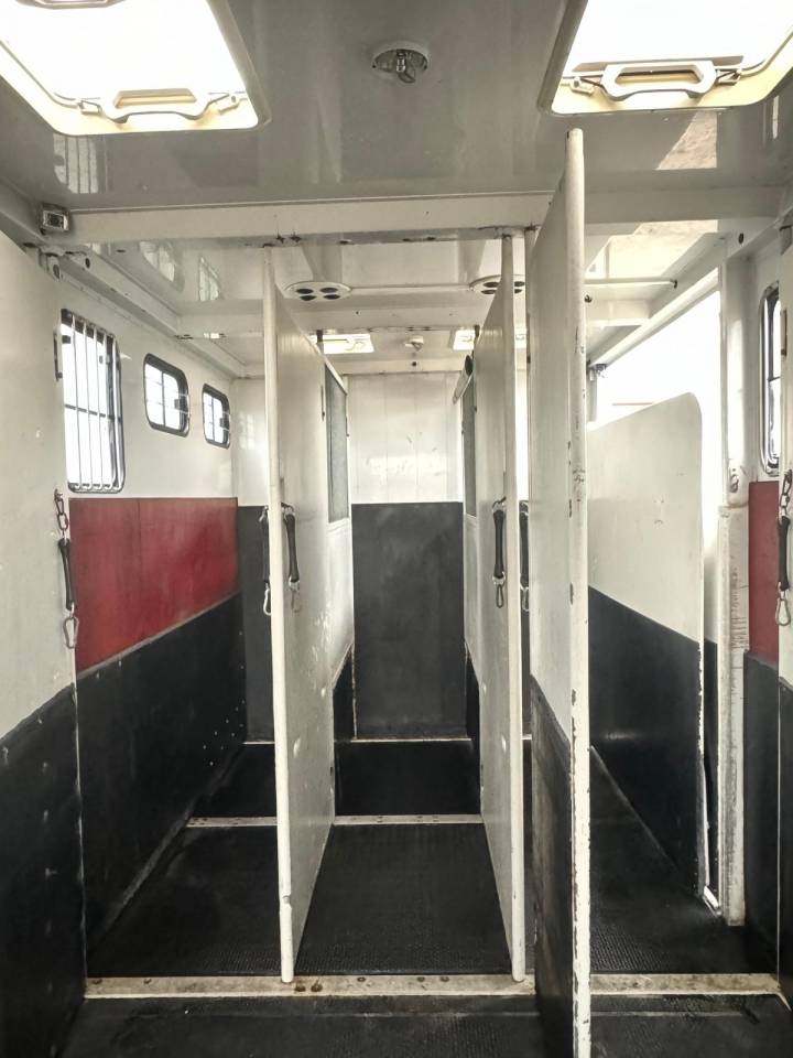 Camion per Cavalli MTM VOLVO 2006 Occasione