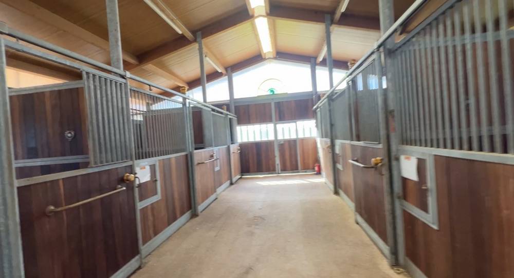 Bella dimora equestre In vendita Allier