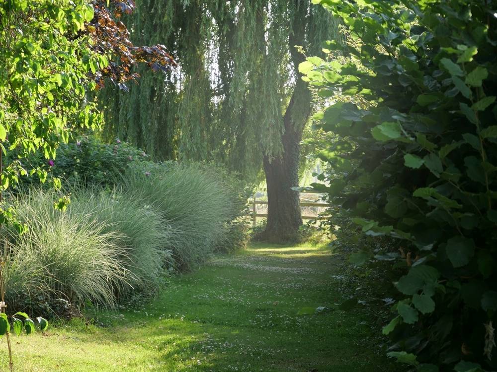 Bella dimora equestre In vendita Allier