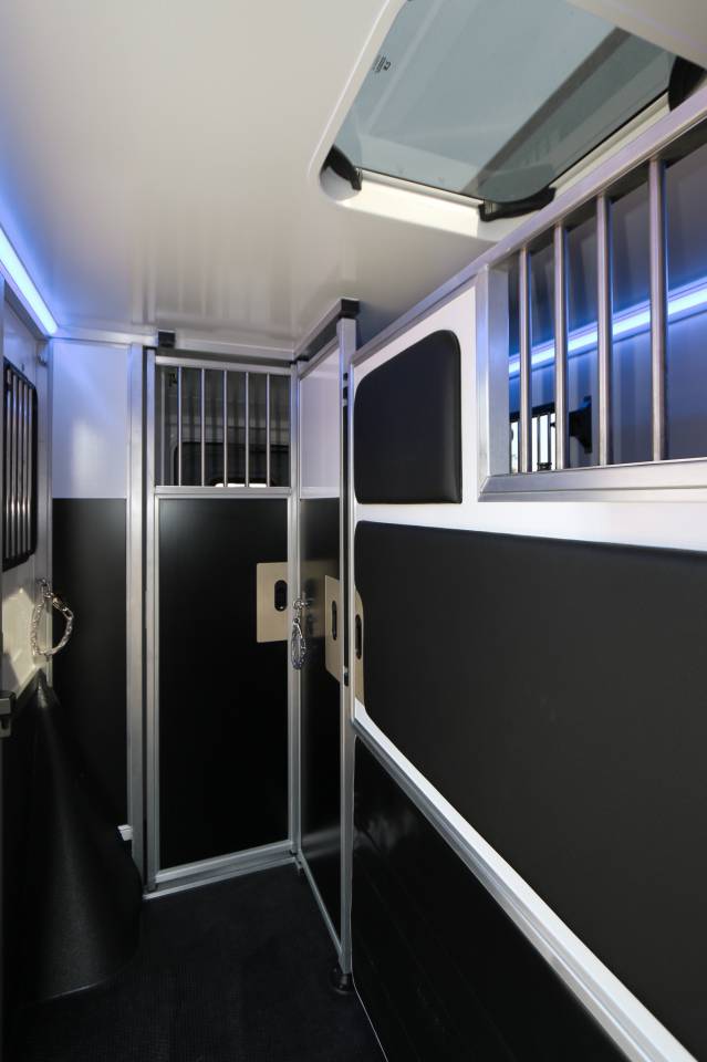 Van per Cavalli Krismar  2025 Nuovo