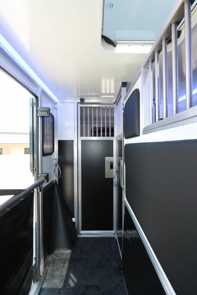 Van per Cavalli Krismar  2025 Nuovo