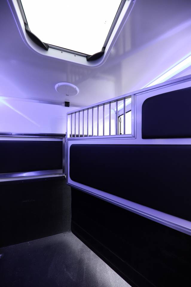 Van per Cavalli Krismar  2025 Nuovo