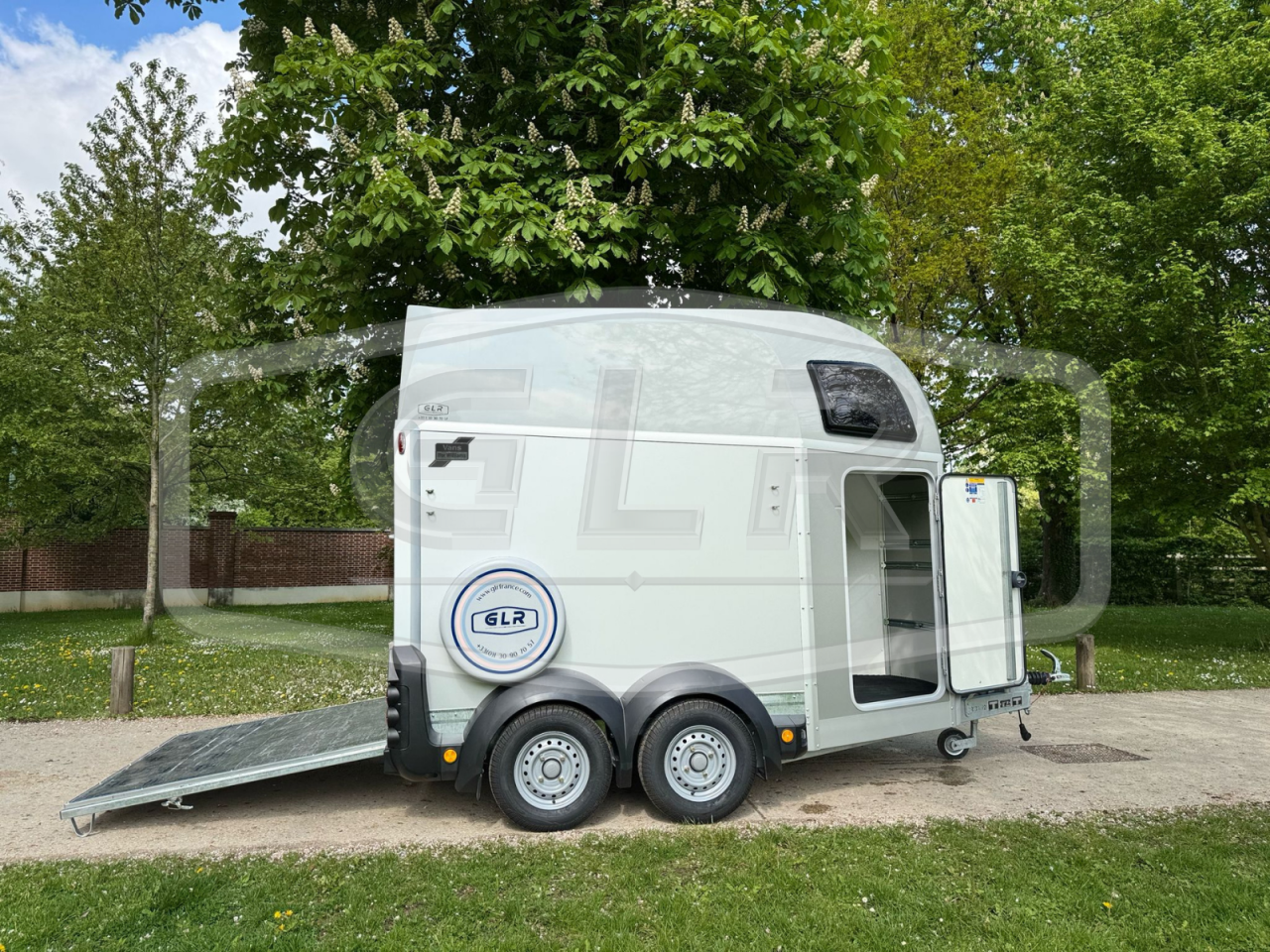 Trailer Ifor Williams HBEECO 2 Cavalli 2025 Nuovo