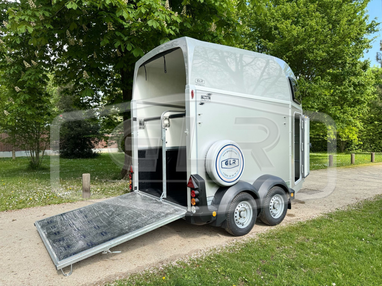 Trailer Ifor Williams HBEECO 2 Cavalli 2025 Nuovo