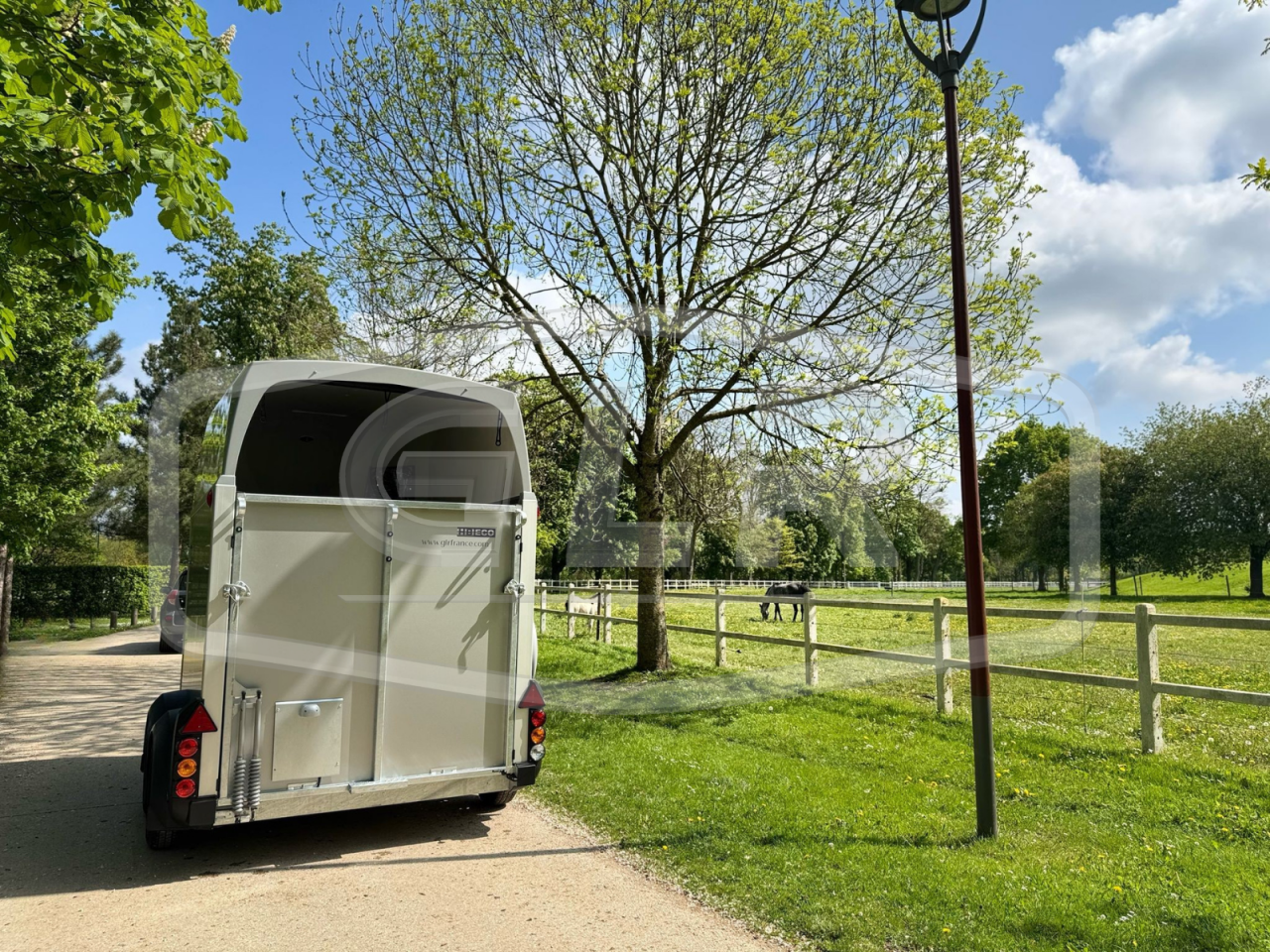 Trailer Ifor Williams HBEECO 2 Cavalli 2025 Nuovo