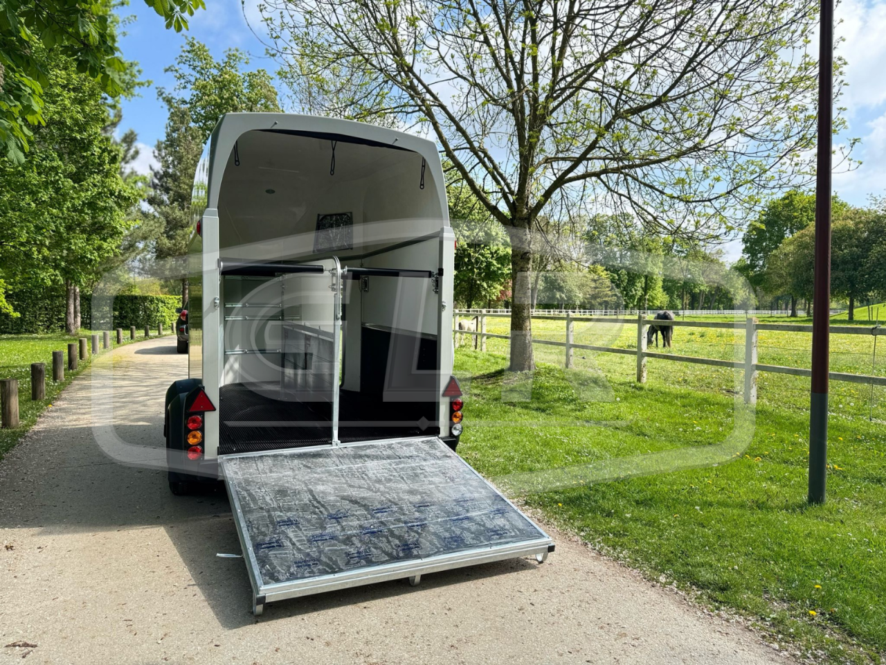 Trailer Ifor Williams HBEECO 2 Cavalli 2025 Nuovo