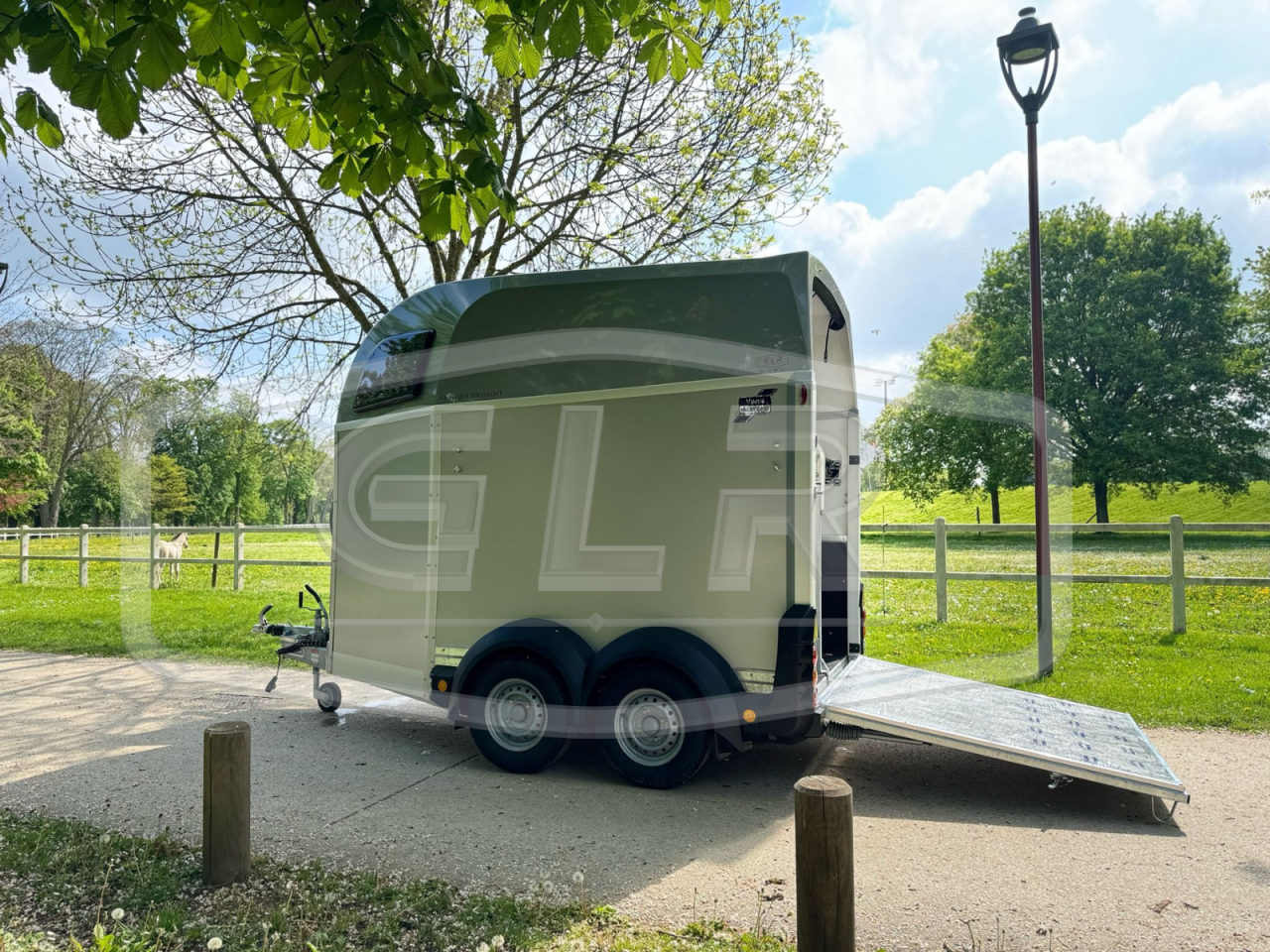 Trailer Ifor Williams HBEECO 2 Cavalli 2025 Nuovo