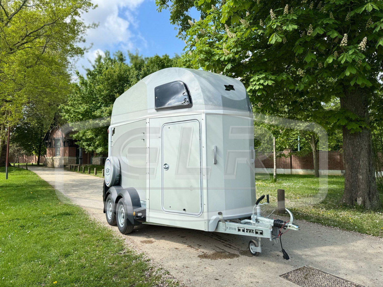 Trailer Ifor Williams HBEECO 2 Cavalli 2025 Nuovo