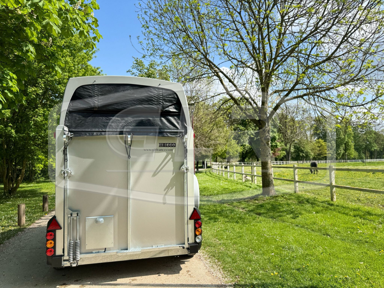 Trailer Ifor Williams HBEECO 2 Cavalli 2025 Nuovo