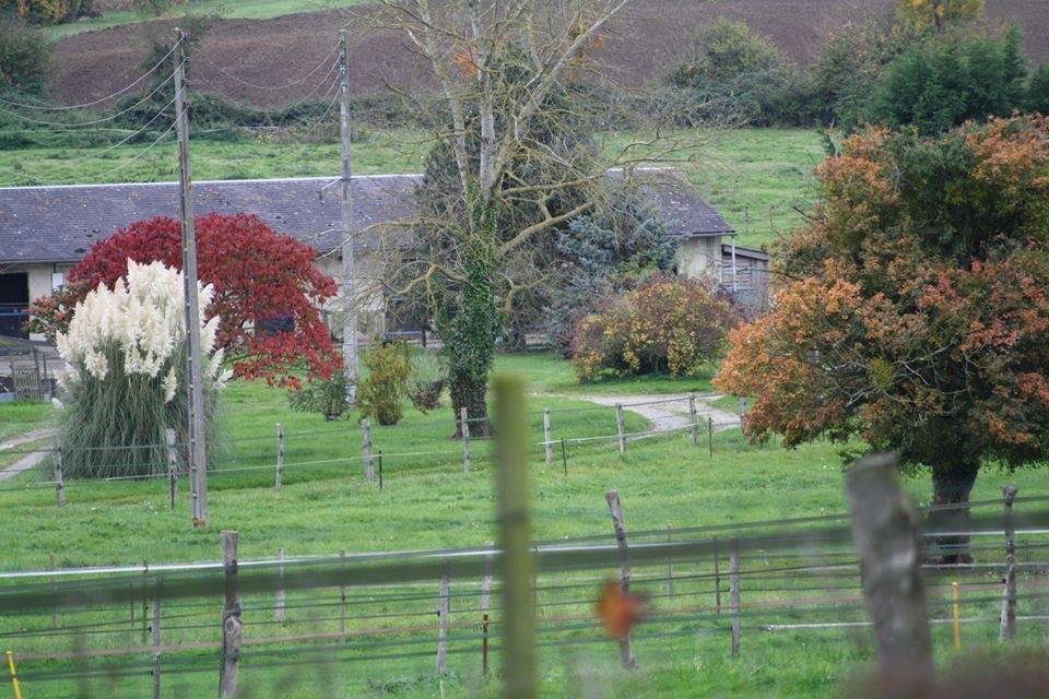 Proprietà equestre In vendita Calvados