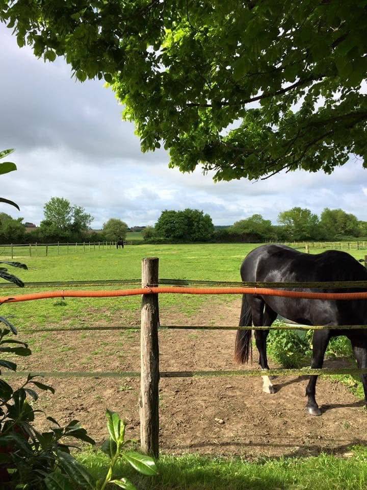 Proprietà equestre In vendita Calvados