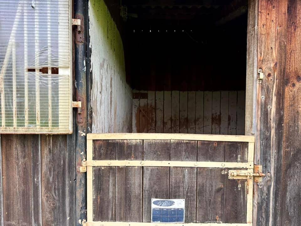 Proprietà equestre In vendita Calvados