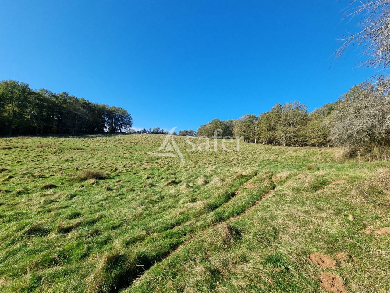 Proprietà rurale In vendita Lot