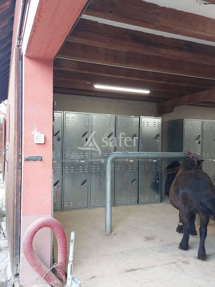 Proprietà equestre In vendita Bas-Rhin