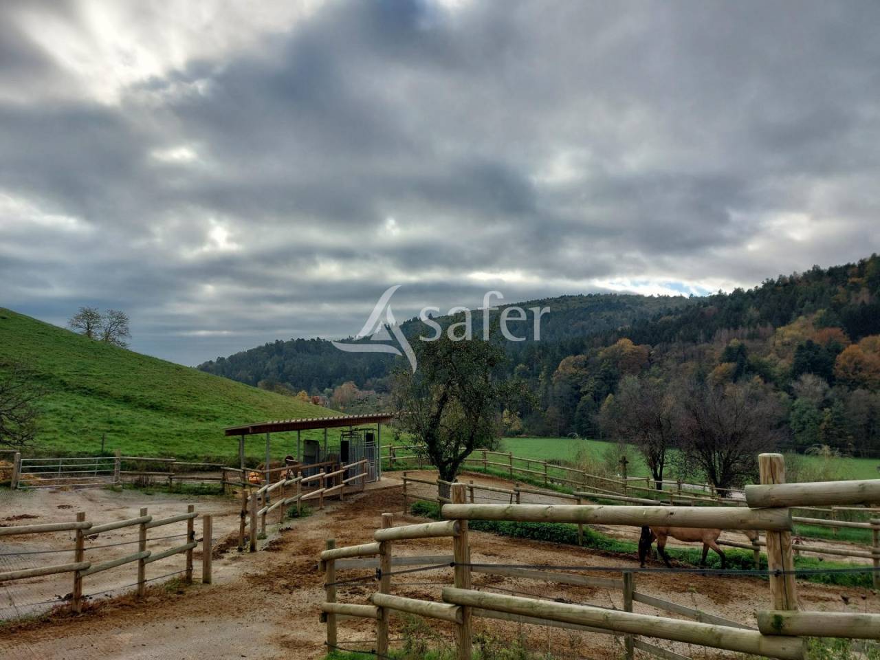 Proprietà equestre In vendita Bas-Rhin
