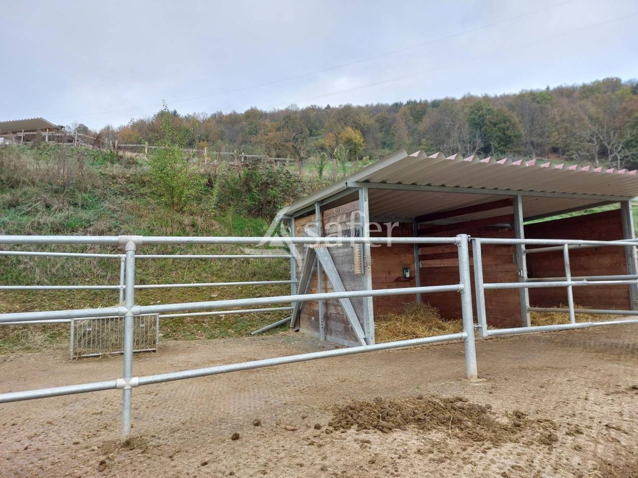 Proprietà equestre In vendita Bas-Rhin