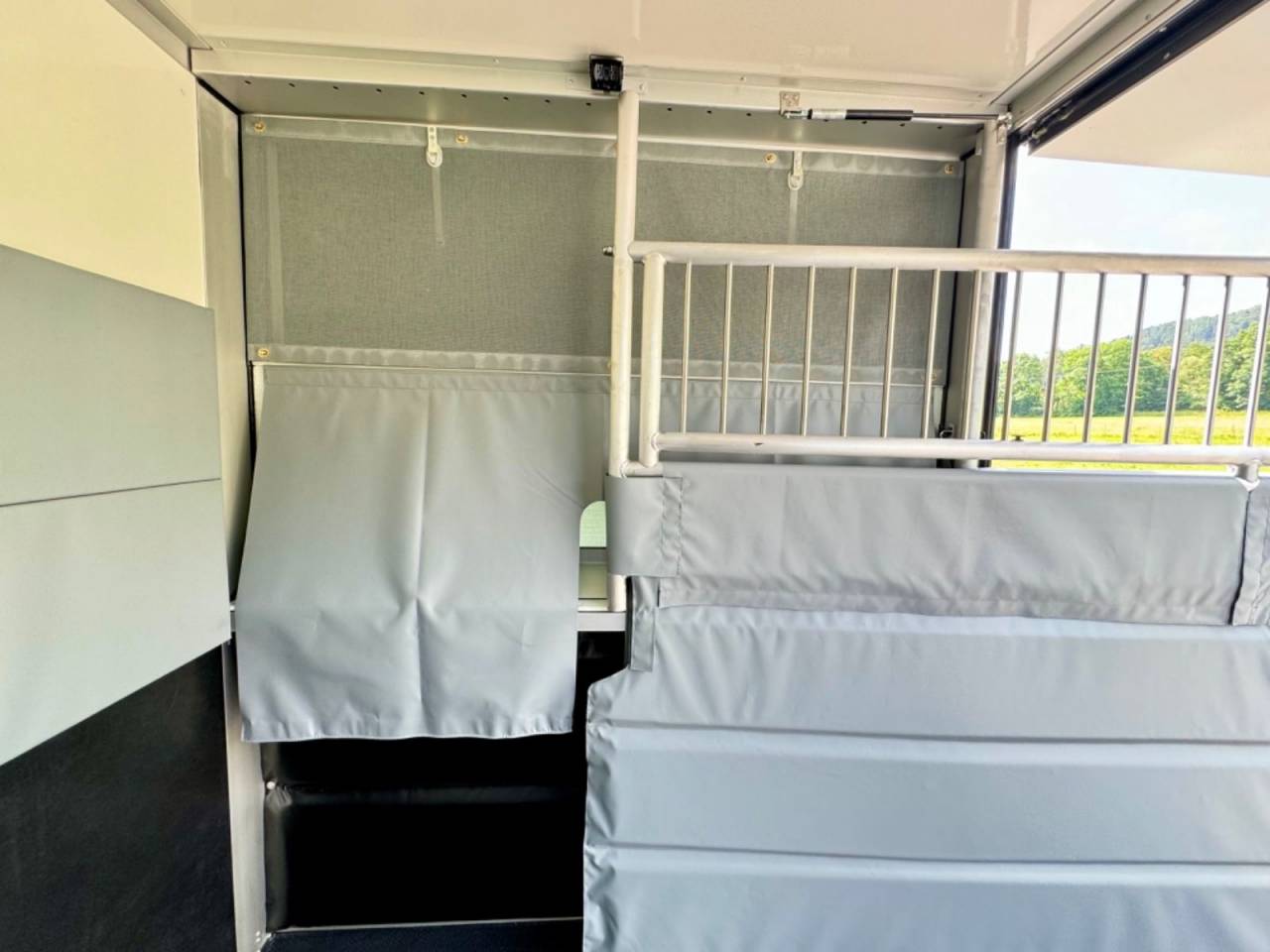 Van per Cavalli Altra marca NISSAN 0 Nuovo