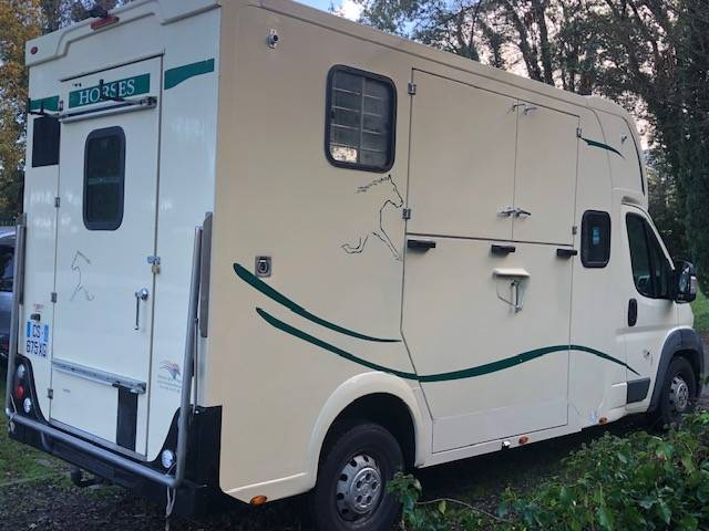 Van per Cavalli Trans Box RM 08 2013 Occasione