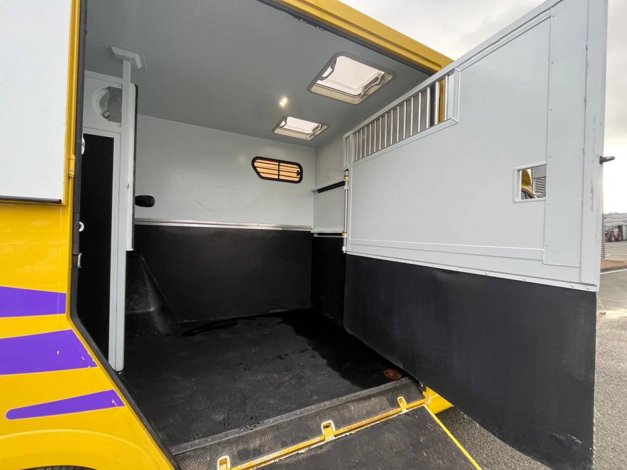 Van per Cavalli Theault PROTEO STALLE 5 PLACES 2017 Occasione