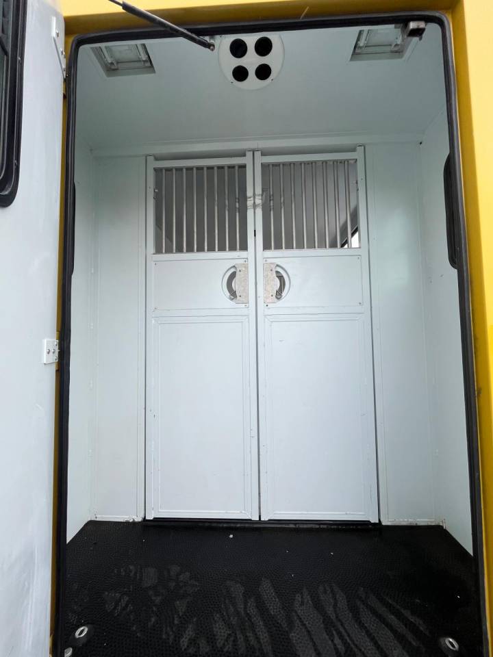 Van per Cavalli Theault PROTEO STALLE 5 PLACES 2017 Occasione