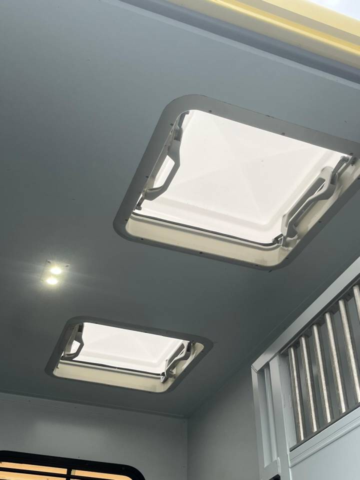 Van per Cavalli Theault PROTEO STALLE 5 PLACES 2017 Occasione