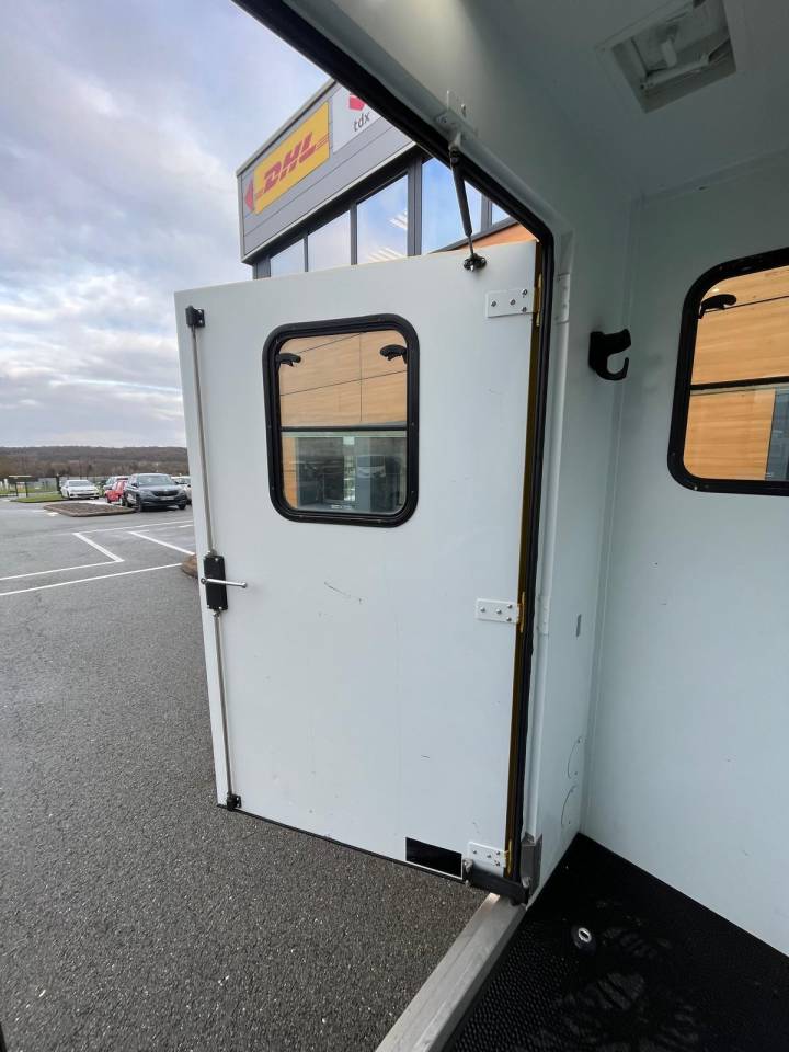 Van per Cavalli Theault PROTEO STALLE 5 PLACES 2017 Occasione