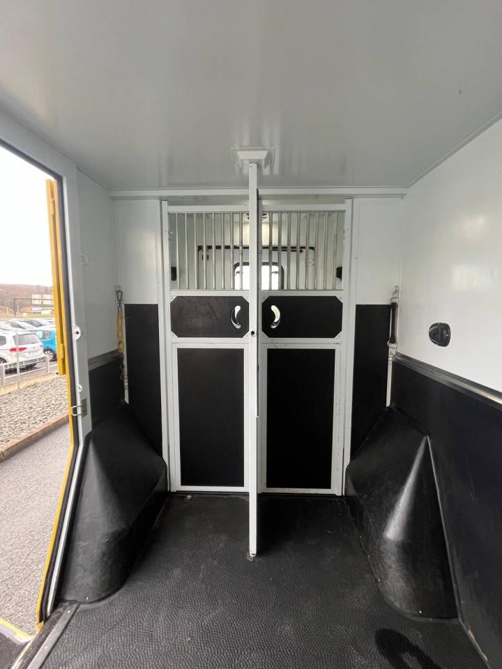 Van per Cavalli Theault PROTEO STALLE 5 PLACES 2017 Occasione