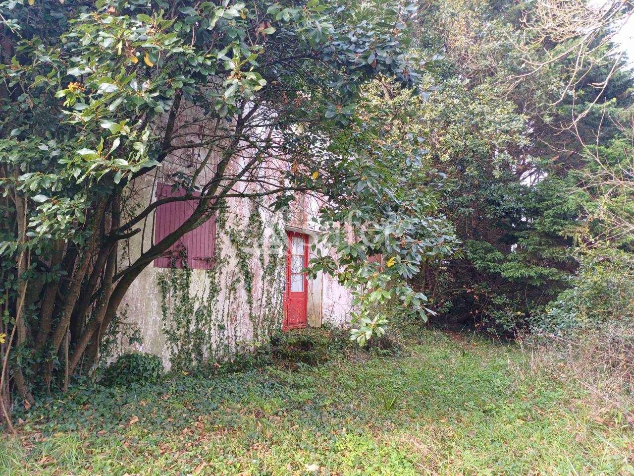 Proprietà rurale In vendita Charente-Maritime