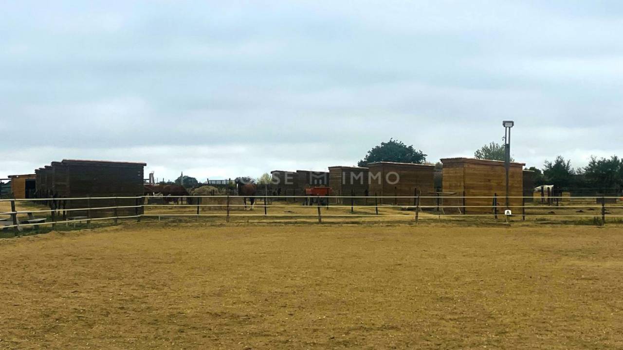 Proprietà equestre In vendita Hérault