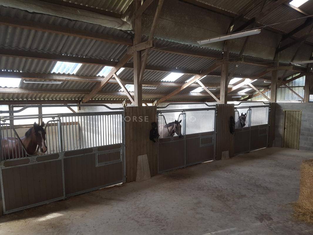 Proprietà equestre In vendita Finistère