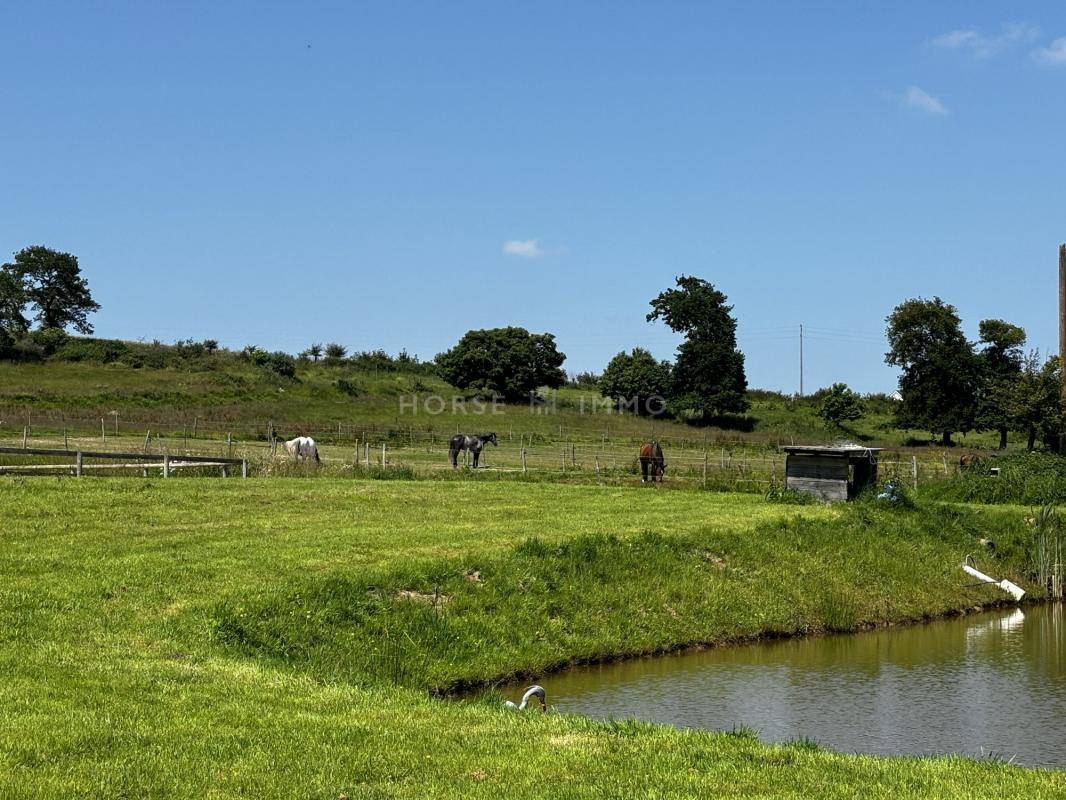 Centro di stagione cavallo In vendita Ile-et-Vilaine