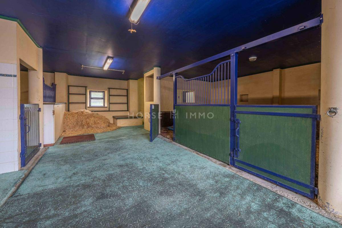 Centro di stagione cavallo In vendita Haute-Savoie