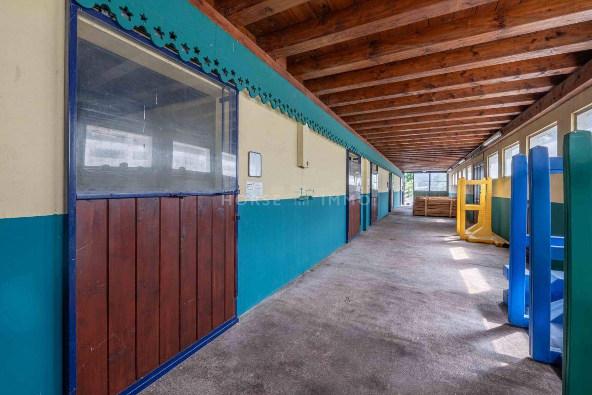 Centro di stagione cavallo In vendita Haute-Savoie