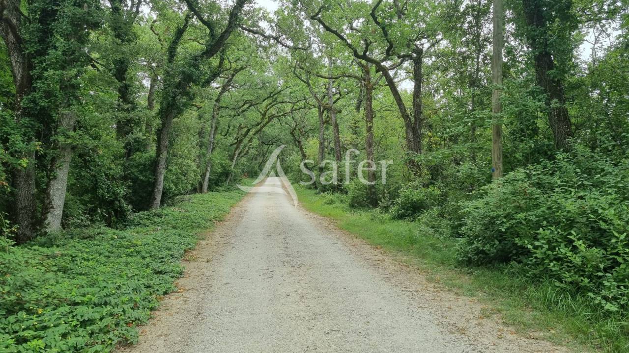 Proprietà rurale In vendita Gers