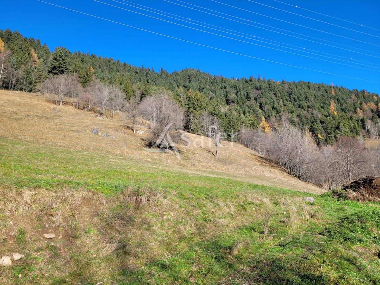 Azienda agricola In vendita Savoie