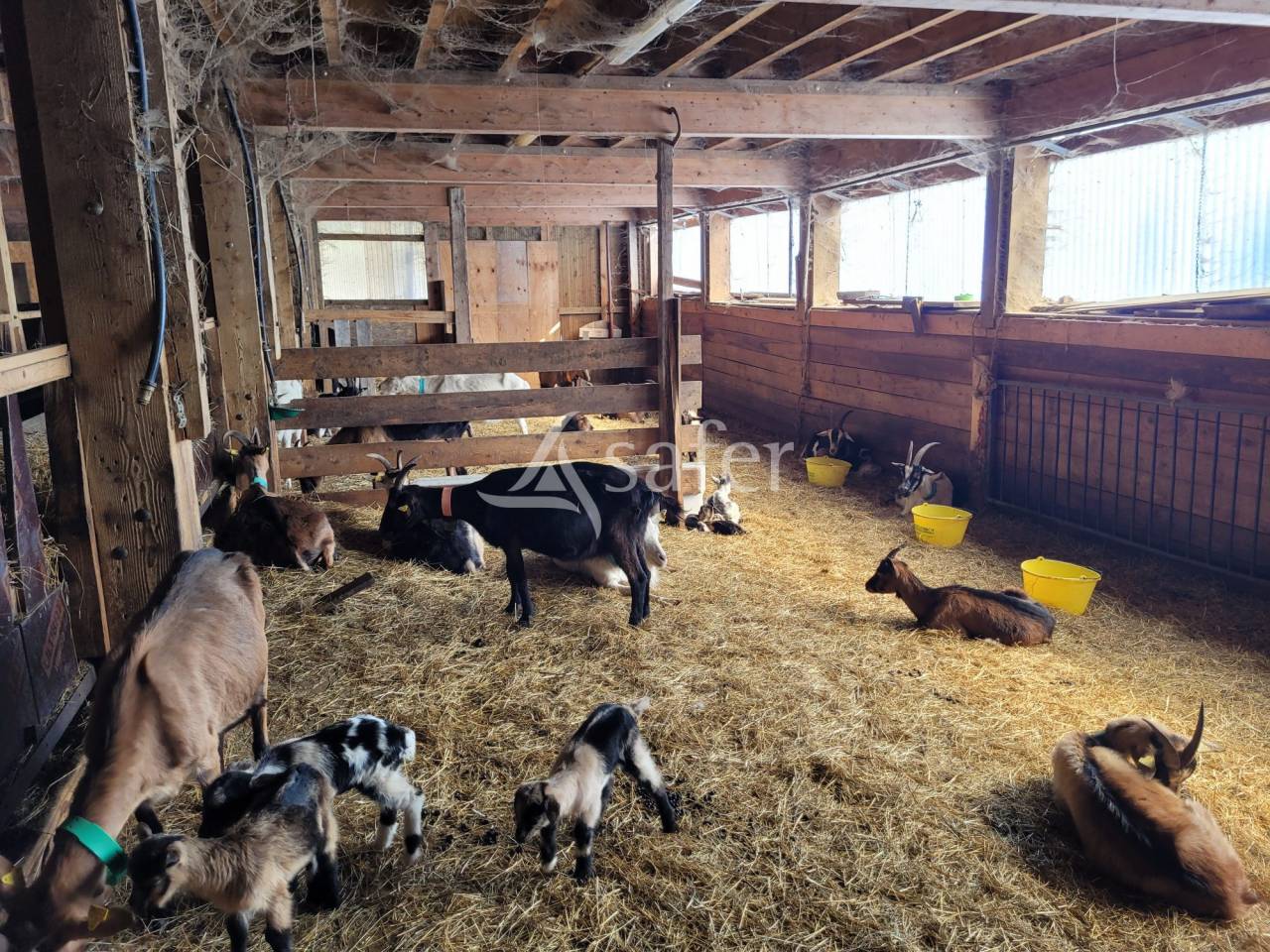 Azienda agricola In vendita Savoie