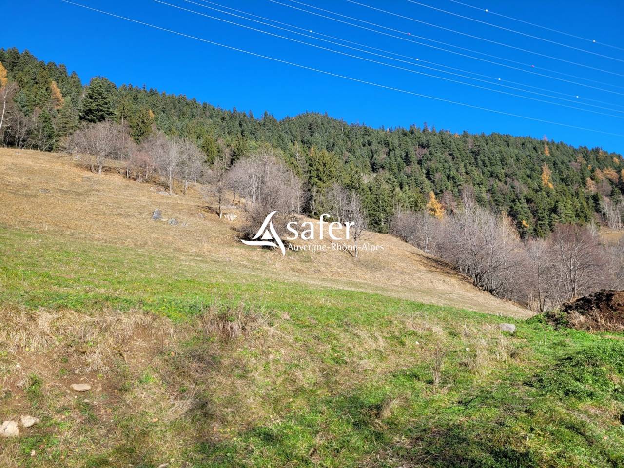 Azienda agricola In vendita Savoie