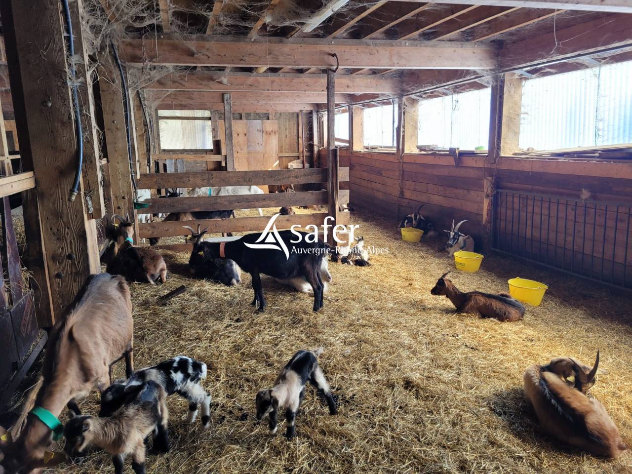 Azienda agricola In vendita Savoie