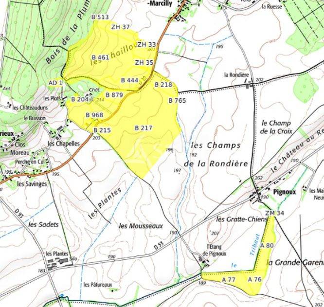 Azienda agricola In vendita Cher