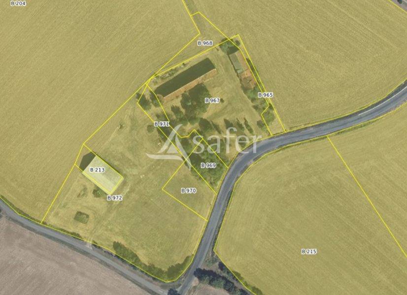 Azienda agricola In vendita Cher