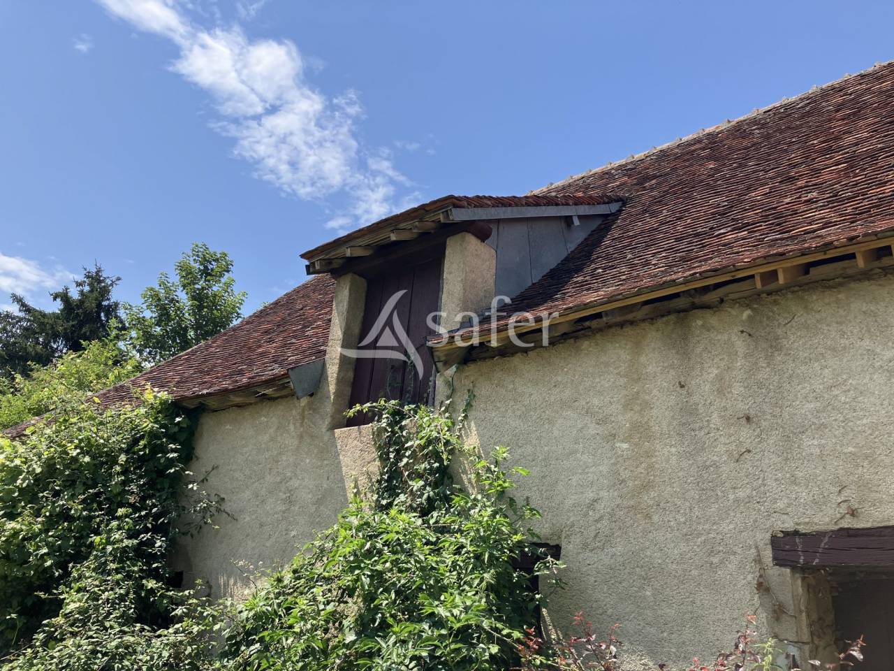 Azienda agricola In vendita Cher