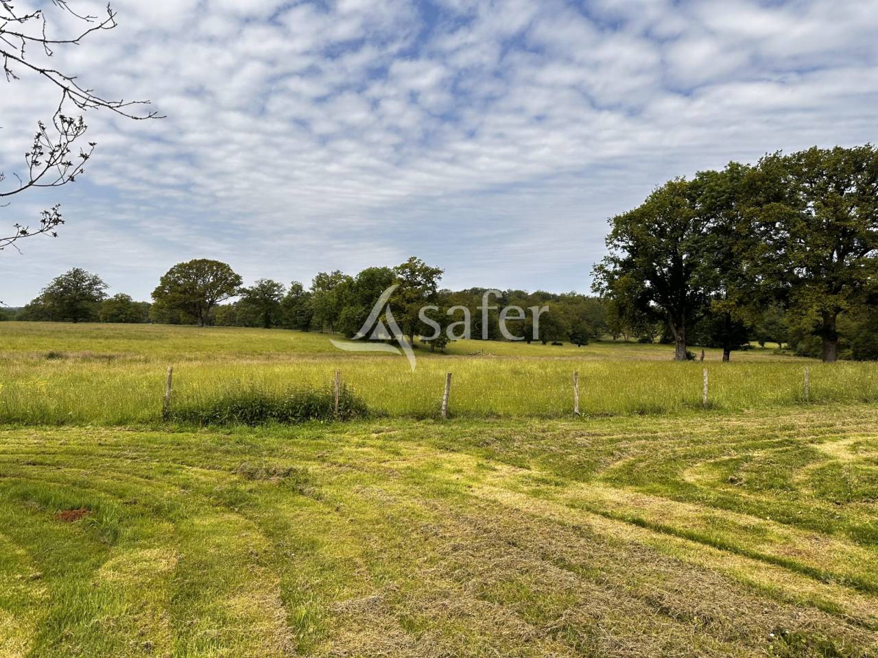 Azienda agricola In vendita Charente