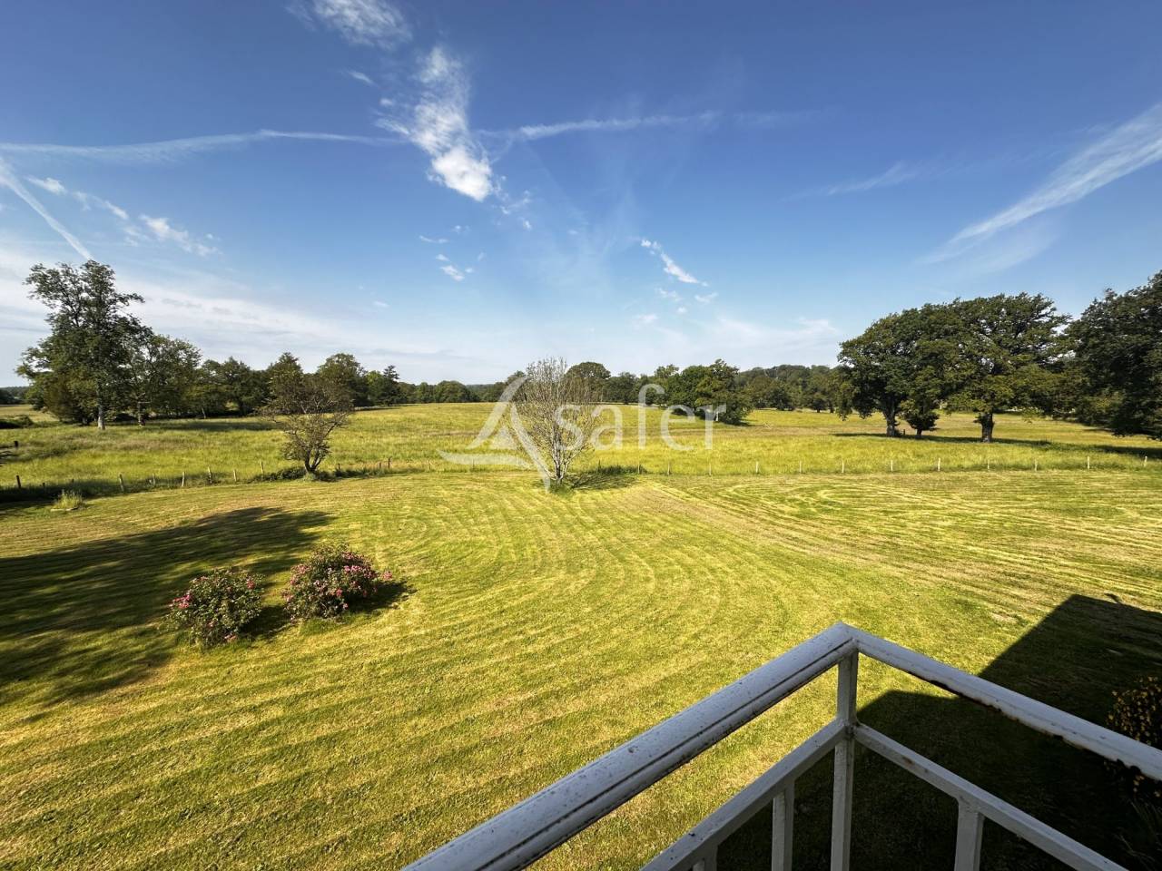 Azienda agricola In vendita Charente