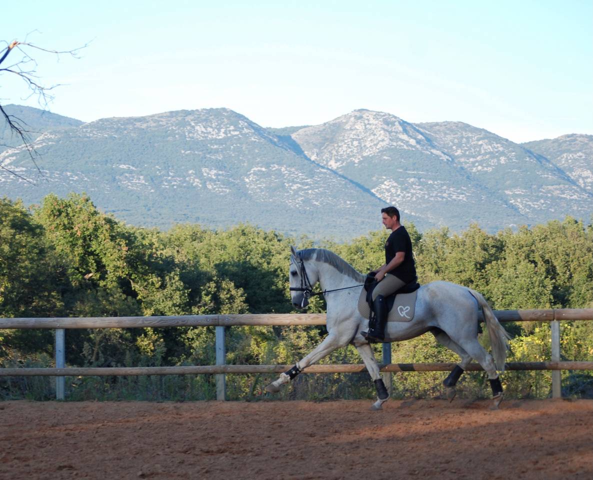 Soberano du Fesquet - Lusitano 2006 ,  HOSTIL JGB