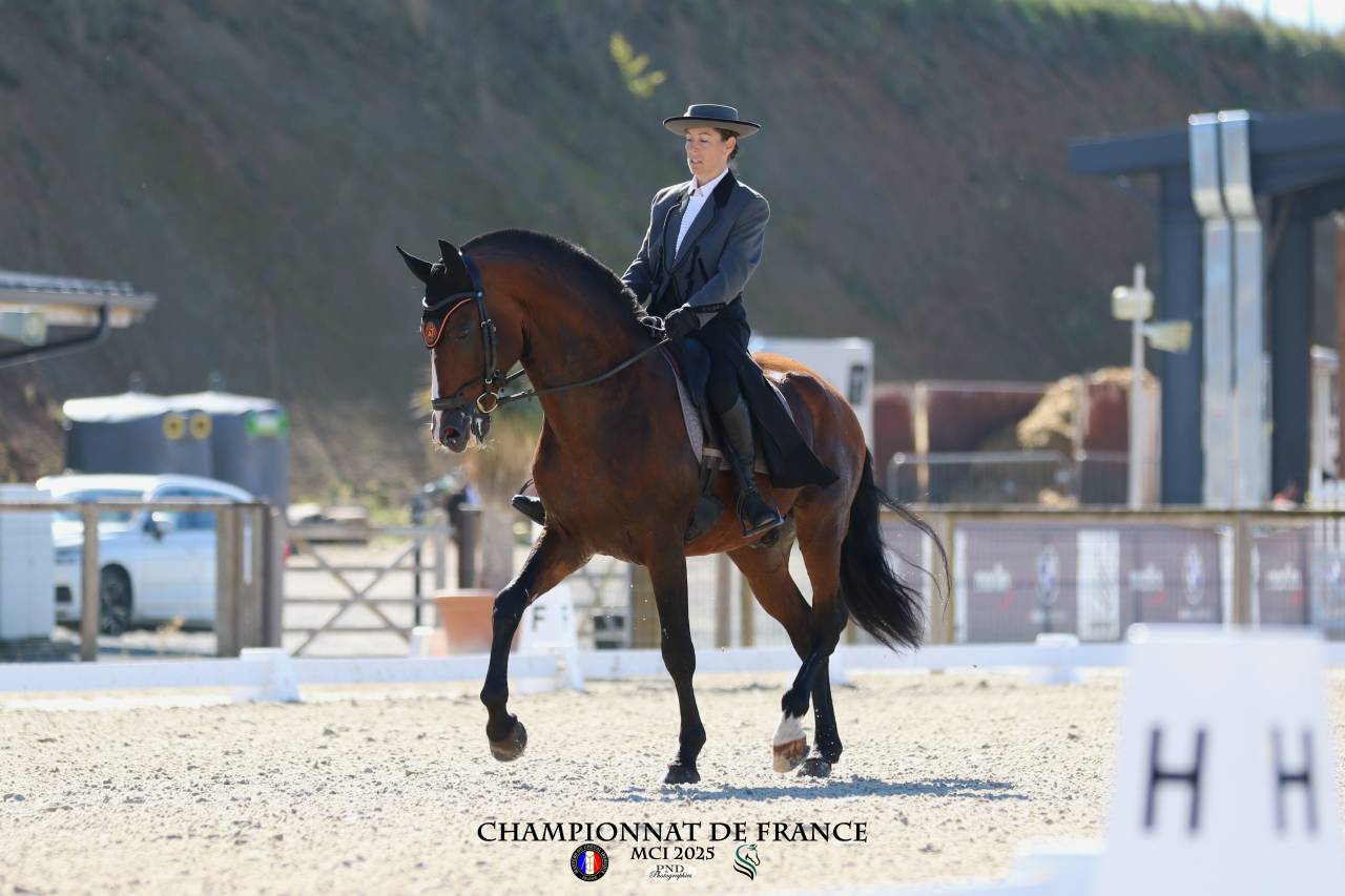 Dior du Fesquet - Lusitano 2013 ,  Rubi Ar
