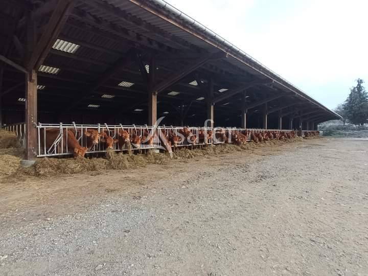 Proprietà rurale In vendita Creuse