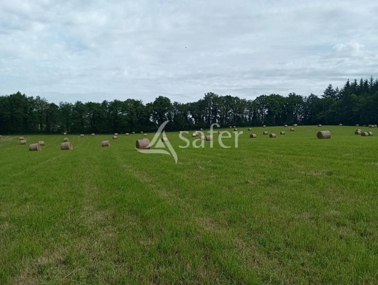 Proprietà rurale In vendita Creuse