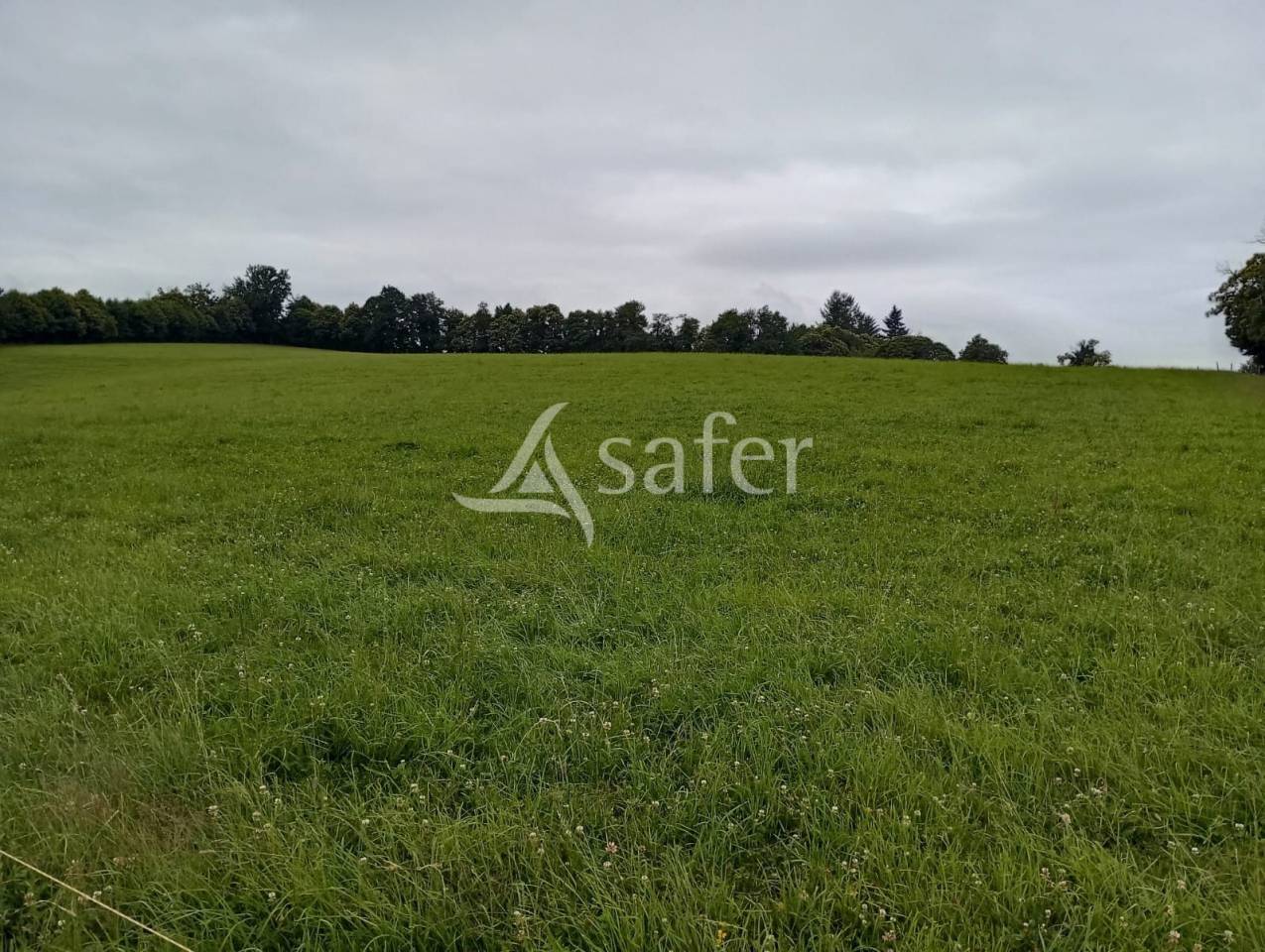 Proprietà rurale In vendita Creuse