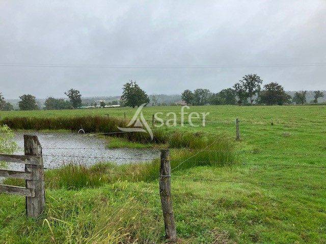 Azienda agricola In vendita Saône-et-Loire