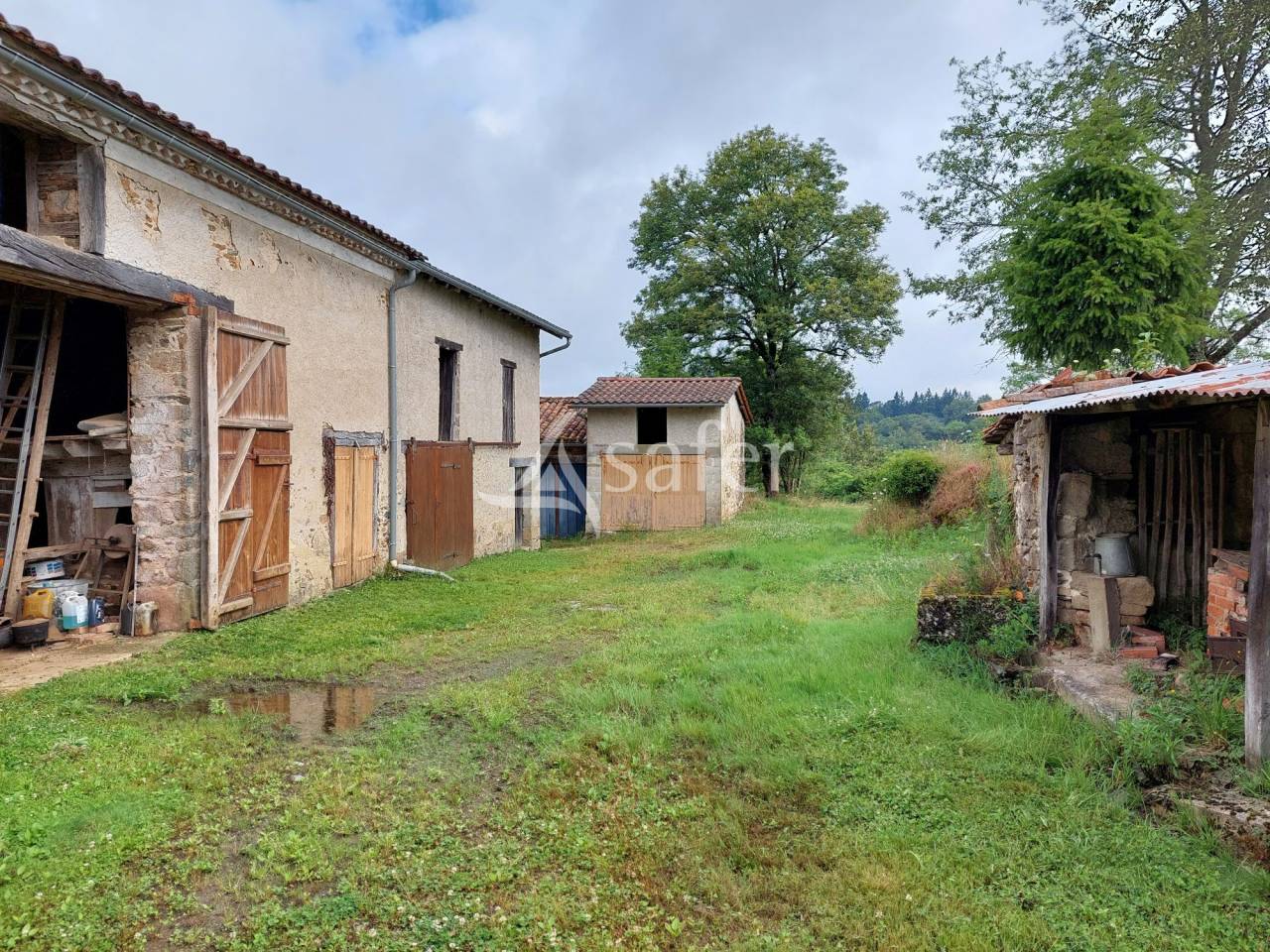 Azienda forestale In vendita Dordogne